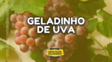 Aprenda a Fazer Geladinho de Uva